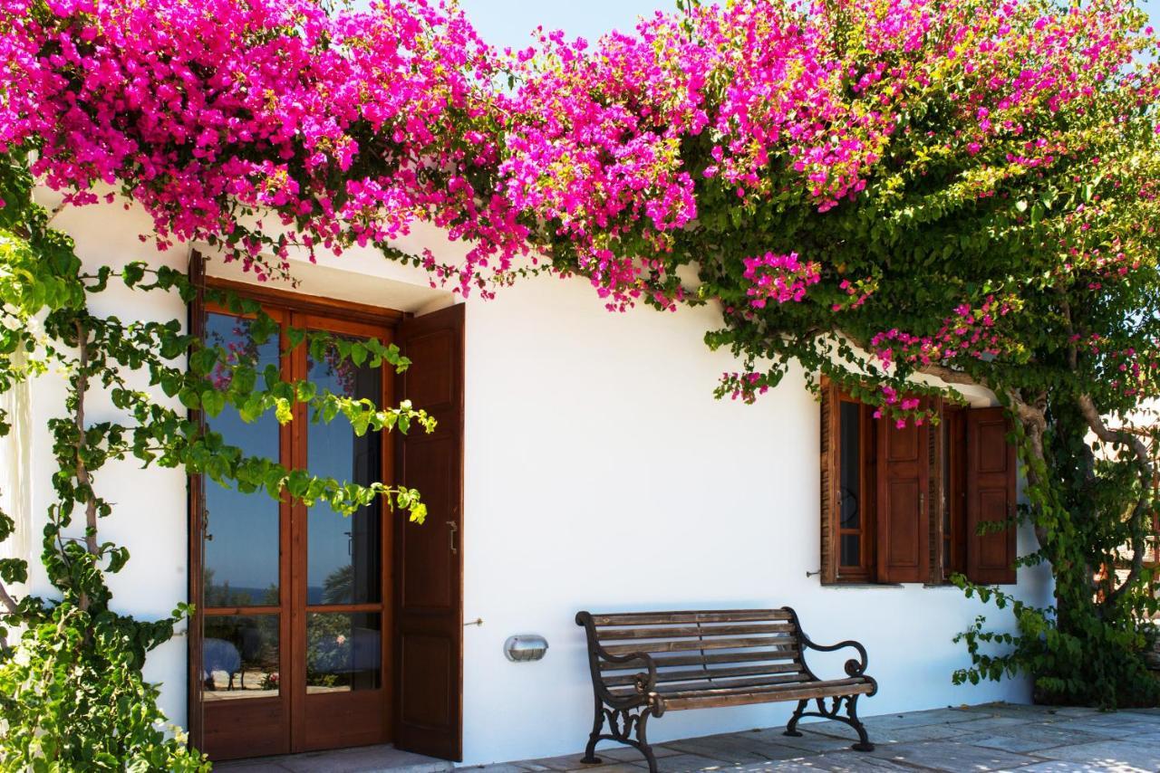 Villa Celestina, Great For Privacy And Seclusion Chrisopigi  Exteriér fotografie